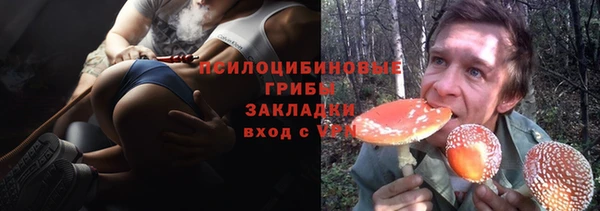 СК Алексеевка