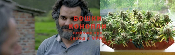 ешки Новозыбков
